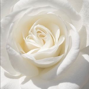 Meet your Posher, Judith